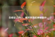 合格证上的CF，揭开其背后神秘面纱