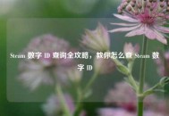 Steam 数字 ID 查询全攻略，教你怎么查 Steam 数字 ID