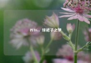 PUBG，绿裙子之梦