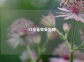 CF全面恢复指南