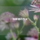 探秘锚的含义