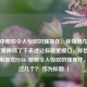 PUBG 中那些令人惊叹的骚操作，你知晓几个？ （这里微调了下表述让标题更顺口，你也可以直接用原文PUBG 那些令人惊叹的骚操作，你见过几个？ 作为标题 ）