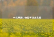 一文掌握CF查看等级全攻略
