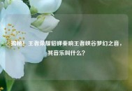揭秘！王者荣耀貂蝉奏响王者峡谷梦幻之音，其音乐叫什么？