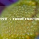 三国杀中荀彧，于袁绍阴影下绽放的别样智谋