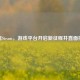脱离Steam，游戏平台开启新征程并直面挑战