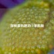 探秘最有趣的CF单机版