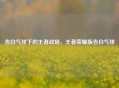 告白气球下的王者战场，王者荣耀版告白气球