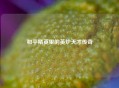 和平精英里的英炉天才传奇