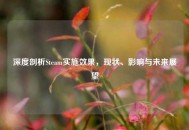 深度剖析Steam实施效果，现状、影响与未来展望