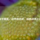 和平精英，战术枪选择，决胜战场之钥