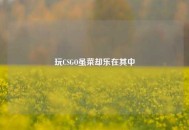 玩CSGO虽菜却乐在其中
