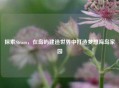 探索Steam，在岛屿建造世界中打造梦想海岛家园