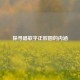 探寻唱歌字正腔圆的内涵