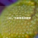CSGO，卡顿带来的噩梦
