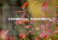 王者荣耀嗨氏网名，电竞世界独特符号