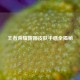 王者荣耀露娜皮肤手感全揭秘