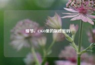 细节，CSGO里的制胜密码