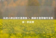 从初入峡谷到王者贵族 7，揭秘王者荣耀升至贵族 7 的花费