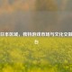 Steam日本区域，独特游戏市场与文化交融之舞台