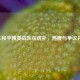 WBG和平精英战队在虎扑，热度与争议并存