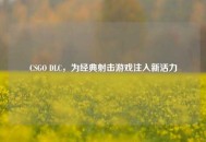 CSGO DLC，为经典射击游戏注入新活力