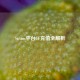 Steam平台CF充值全解析