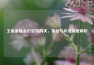 王者荣耀金币宝箱购买，策略与风险深度解析