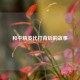 和平精英代打背后的故事