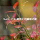 Mad98，PUBG赛场上的璀璨之星