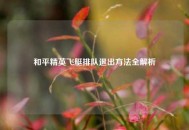 和平精英飞艇排队退出 *** 全解析