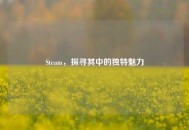 Steam，探寻其中的独特魅力