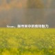 Steam，探寻其中的独特魅力