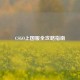 CSGO上国服全攻略指南