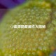 CF血阳隐藏属性大探秘