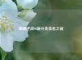 揭秘逆战98新分支命名之谜