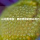 LOL暗影刺客，隐匿黑暗的致命利刃