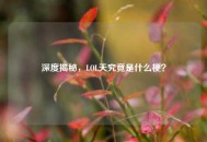 深度揭秘，LOL天究竟是什么梗？