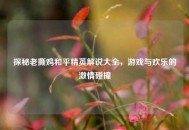 探秘老撕鸡和平精英解说大全，游戏与欢乐的***碰撞