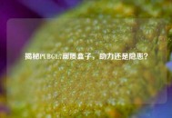 揭秘PUBG1.7画质盒子，助力还是隐患？