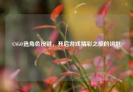 CSGO选角色按键，开启游戏精彩之旅的钥匙