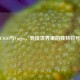 CSGO与Vuggo，竞技世界里的独特符号