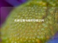 心脏位置与爱的安放之问