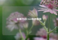 怡姐开启CSGO奇妙旅程