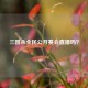 三国杀全民公开赛会直播吗？