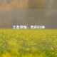 王者荣耀，凯的召唤