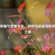 王者荣耀与苹果手机，游戏与设备交织的奇妙之旅