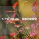 CF手游铁血战队，战场荣耀传奇