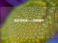 蓝战非解锁Steam隐藏精彩