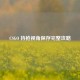 CSGO 持枪视角保存完整攻略